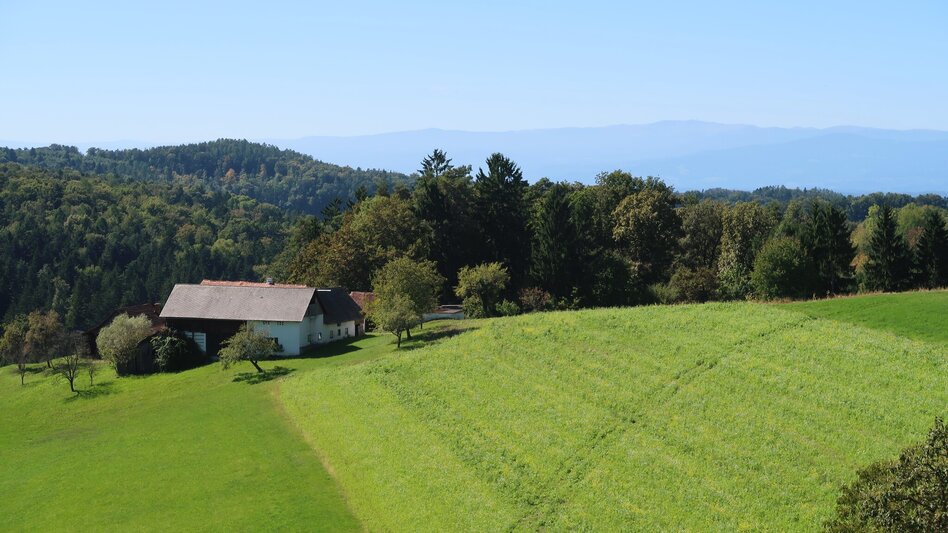 Cycling Hill Country Tour 733 - Touren-Impression #2.1 | © Region Graz