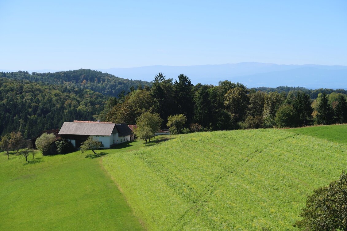 Cycling Hill Country Tour 733 - Touren-Impression #1 | © Region Graz