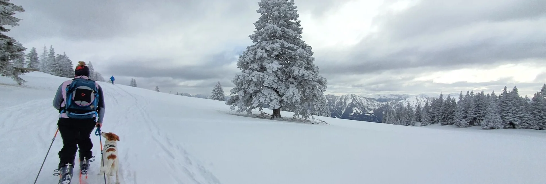 Skitour Skitour auf die Gemeindealpe - Touren-Impression #1 | © TV Hochsteiermark