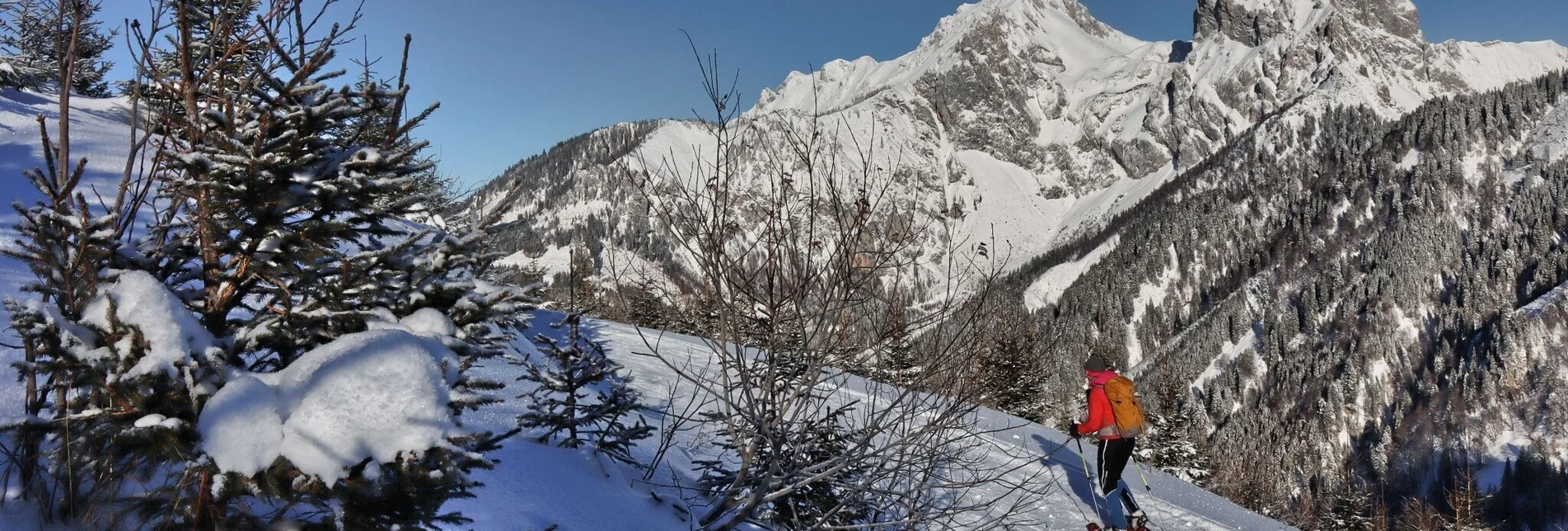 Schneeschuh Plöschkogel - Touren-Impression #1 | © Weges OG