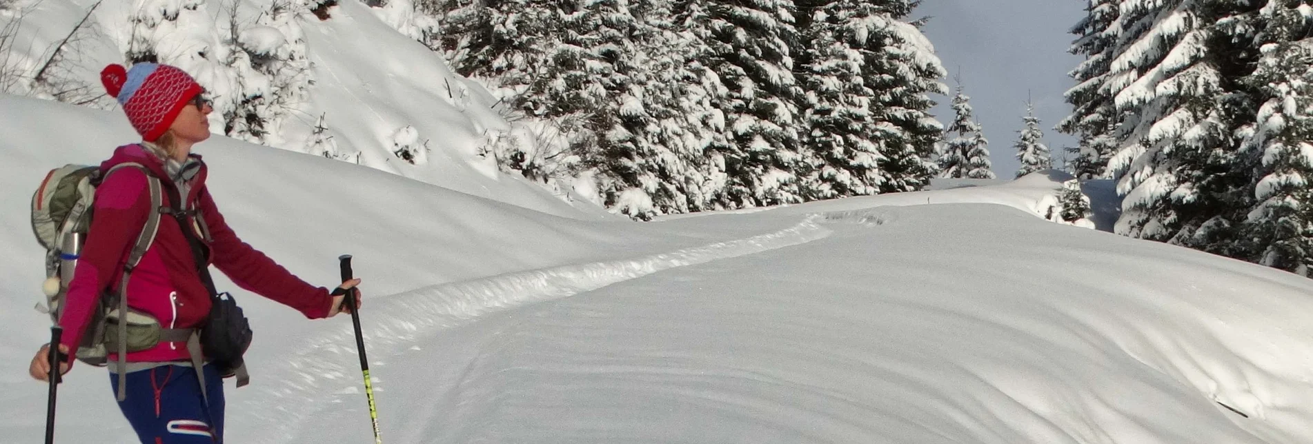 Schneeschuh Handlalmrunde - Touren-Impression #1 | © Tourismusverband ERZBERG LEOBEN