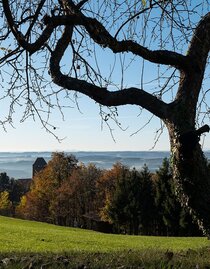 View from the Hausberg sunny side | © Oststeiermark Tourismus | Bernhard Bergmann  | © Oststeiermark Tourismus
