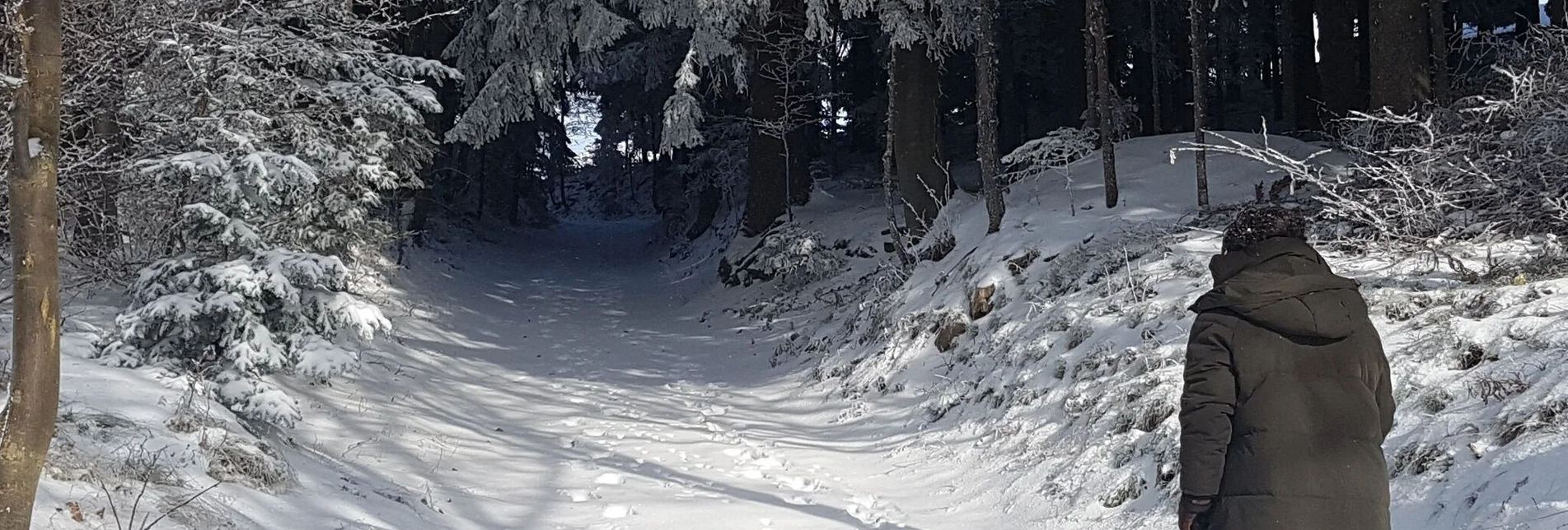 Winterwandern Winterwandern Masenberg, Pöllauberg - Touren-Impression #1 | © Oststeiermark Tourismus