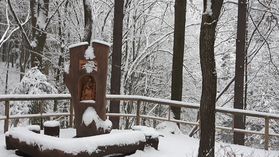 Winter Hiking 7 places 7 treasures winter hike - Touren-Impression #2.14 | © Oststeiermark Tourismus