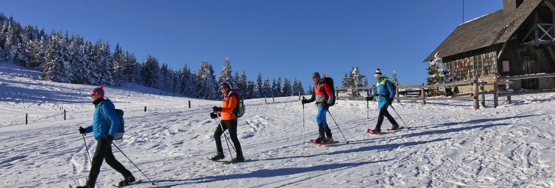 Schneeschuh Schneeschuhwanderung von der Gaal auf den Rosenkogel - Touren-Impression #1 | © Weges OG