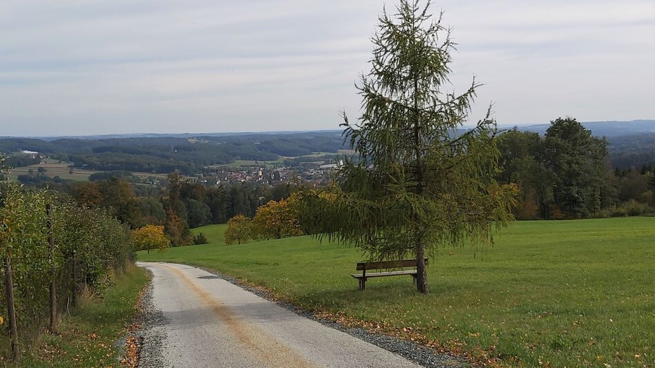 Cycling 3 Castles Tour in the Hartberg country - Touren-Impression #2.4 | © Oststeiermark Tourismus
