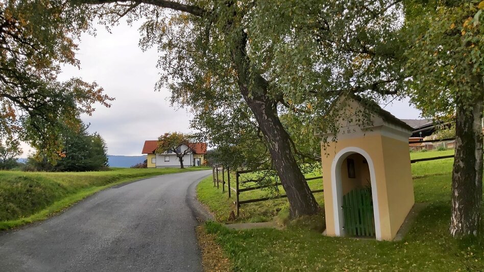 Cycling 3 Castles Tour in the Hartberg country - Touren-Impression #2.9 | © Oststeiermark Tourismus