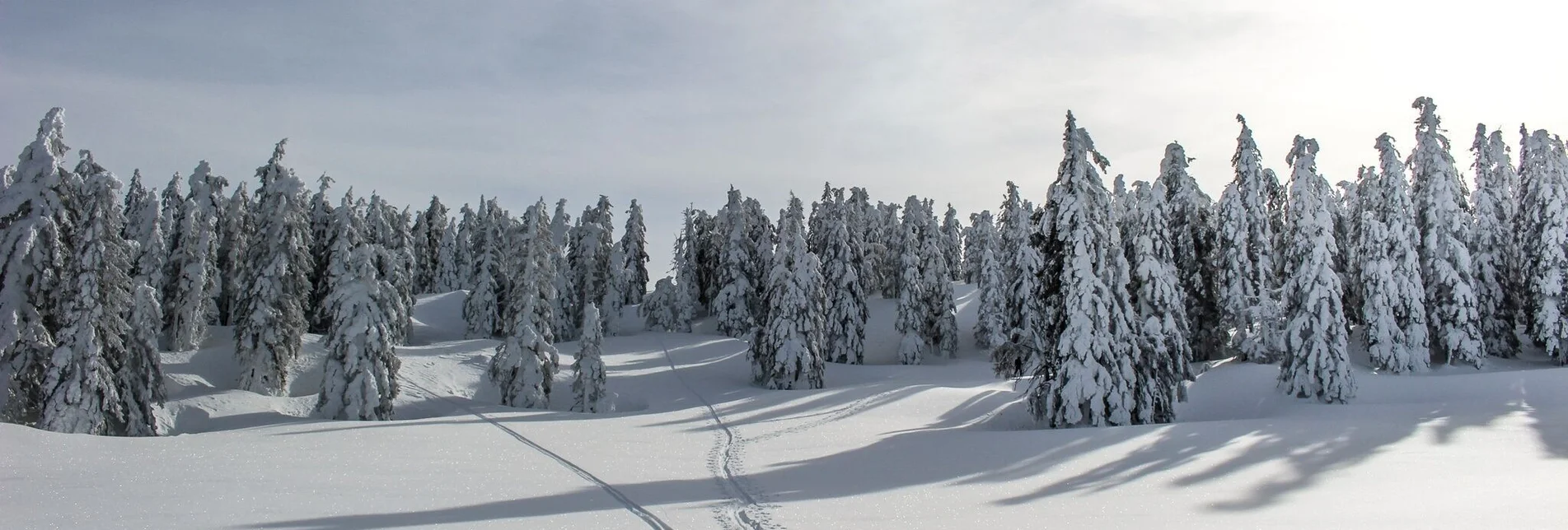 Skitour Skitour auf den Rosskogel - Touren-Impression #1 | © TVB Ausseerland - Salzkammergut