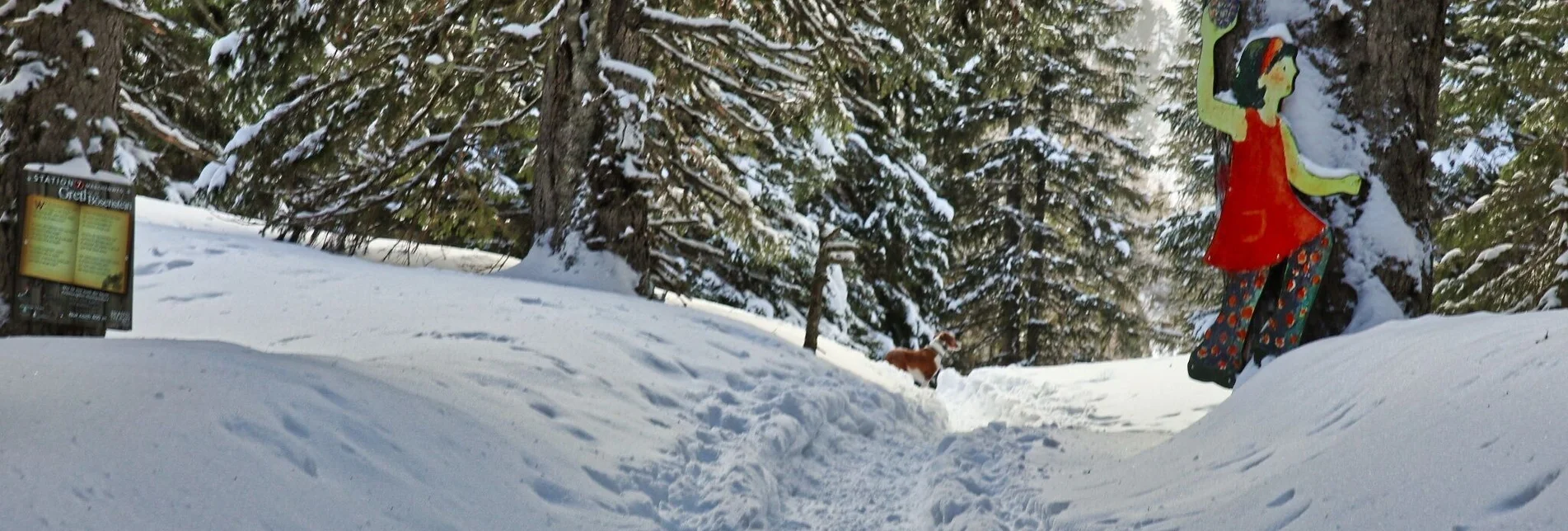 Snowshoe walking Edelrautehütte - marked snowshoe trail in Hohentauern - Touren-Impression #1 | © Weges OG