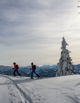 Skitour Tauplitzalm | Berghasen | © TVB Ausseerland - Salzkammergut