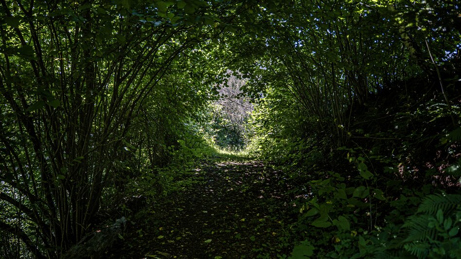 Hiking Route Roundway Kapfl - Touren-Impression #2.7 | © Gerhard Pilz