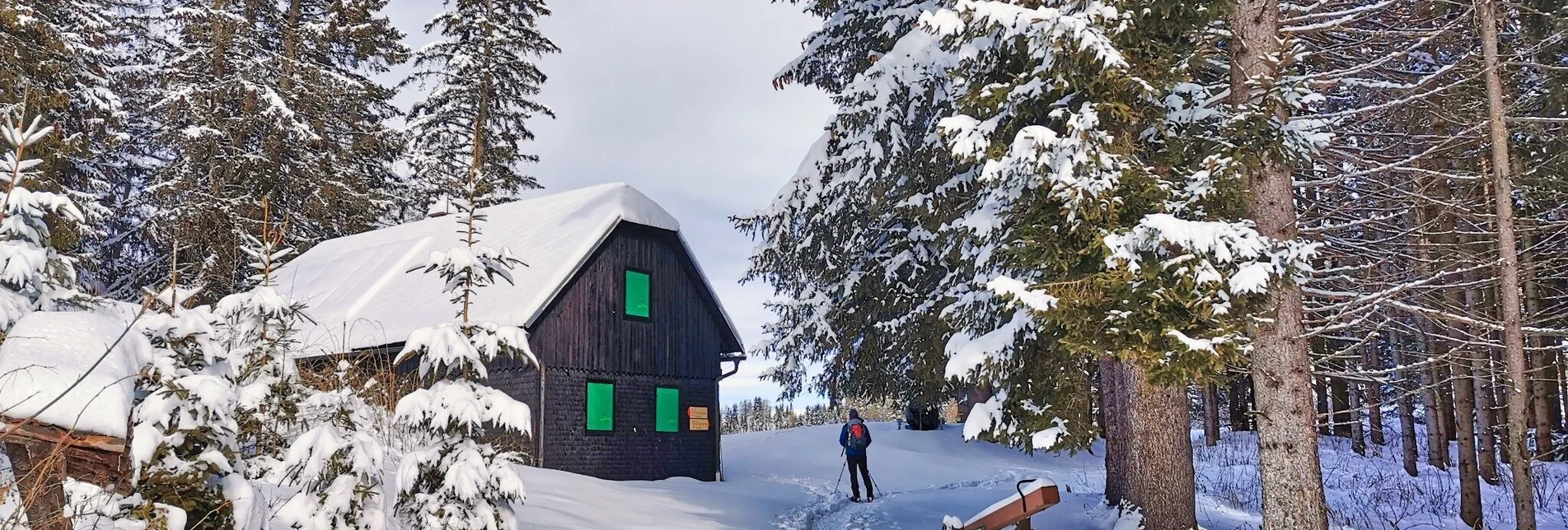 Schneeschuh Schneeschuhwanderung Gaaler Höhe - Touren-Impression #1 | © Weges OG