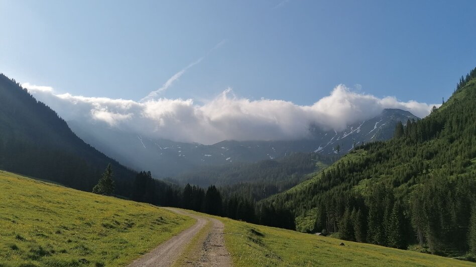 Hiking Route Riedleralm - Touren-Impression #2.2 | © Erlebnisregion Schladming-Dachstein