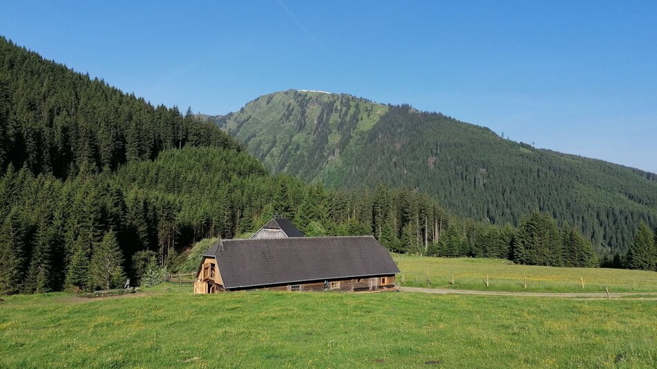 Hiking Route Riedleralm - Touren-Impression #2.3 | © Erlebnisregion Schladming-Dachstein