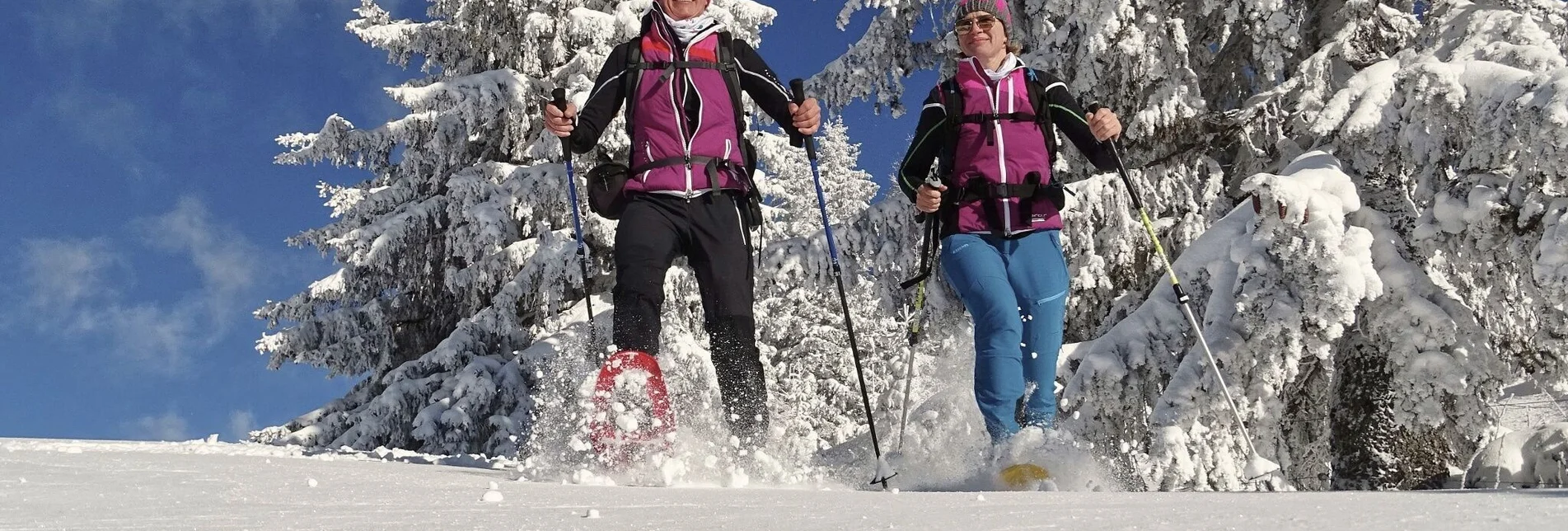 Snowshoe walking Snowshoe hike Steinplan from Rösslergraben - Touren-Impression #1 | © Weges OG