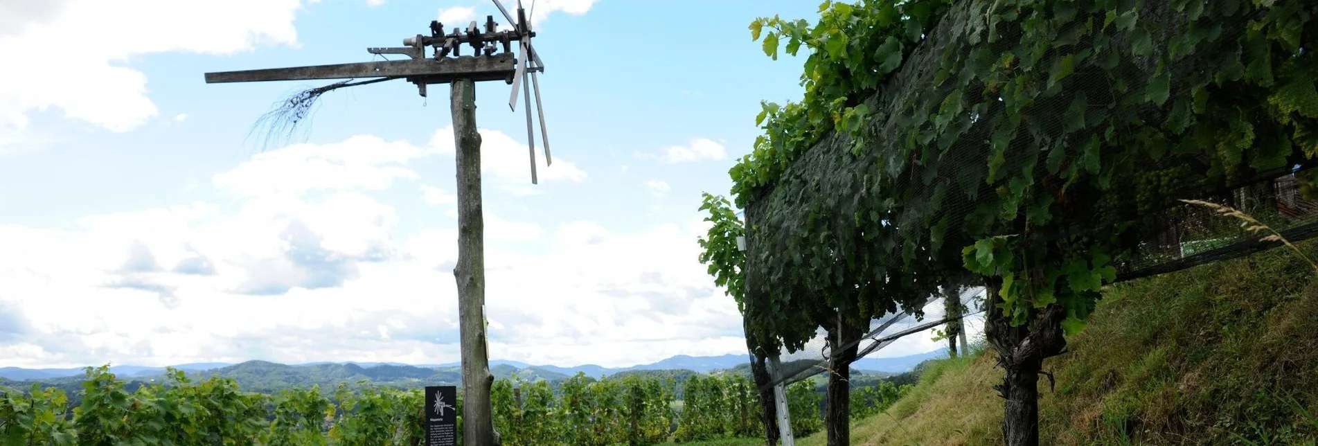 Hiking route Styrian Fruit and Wine Trail Silberberg - Touren-Impression #1 | © Südsteiermark