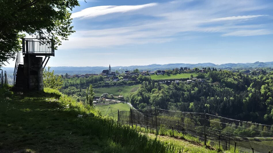 Hiking Route Styrian Fruit and Wine Trail Silberberg - Touren-Impression #2.1