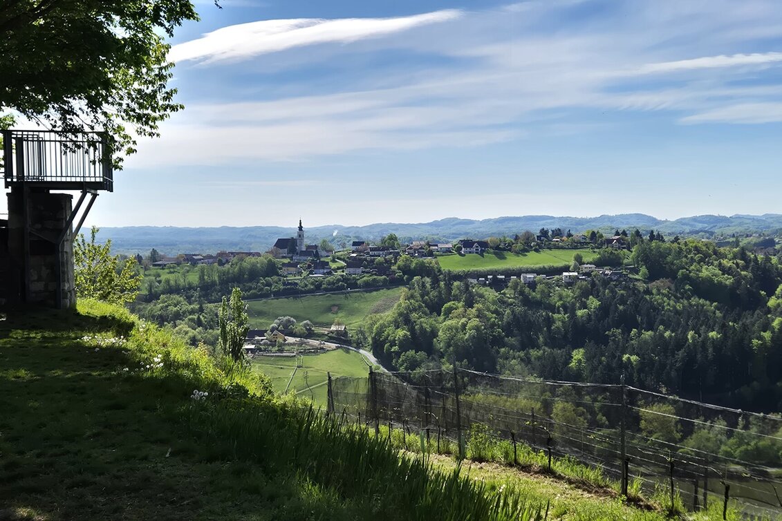Hiking Route Styrian Fruit and Wine Trail Silberberg - Touren-Impression #1