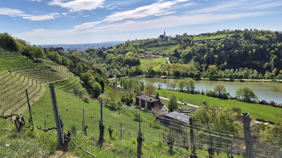 Hiking Route Styrian Fruit and Wine Trail Silberberg - Touren-Impression #2.5