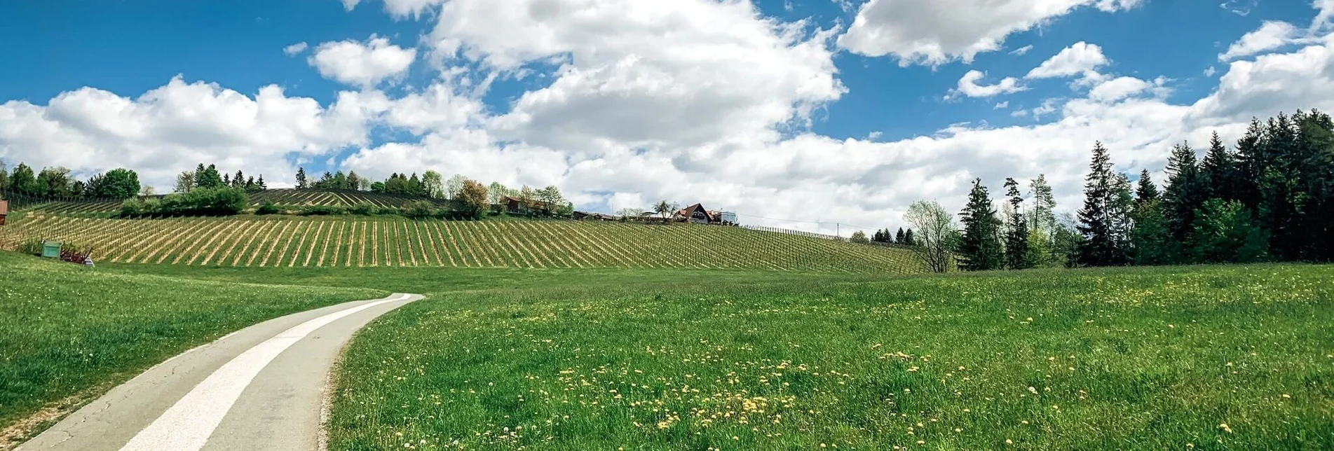 Mountain Biking Panorama Tour (Wies) - a perfect triad - Touren-Impression #1 | © Schilcherland Steiermark