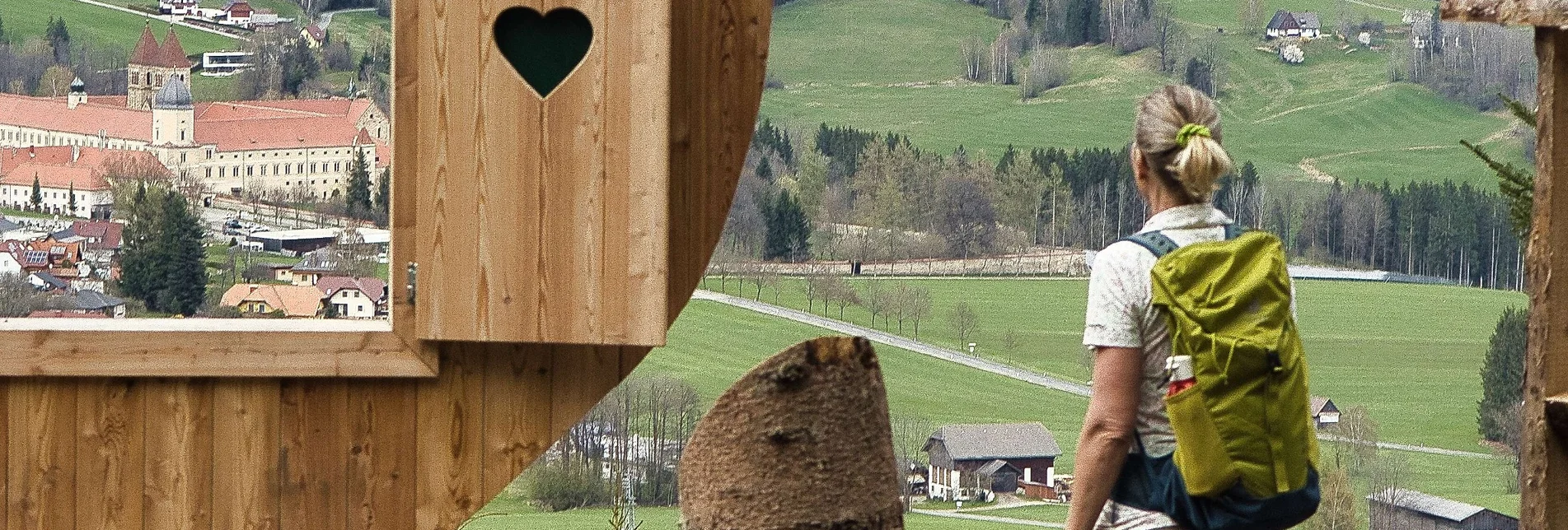 Hiking route Tremmelberg "Tower in the mountains" above Calvary Church - Touren-Impression #1 | © Weges OG