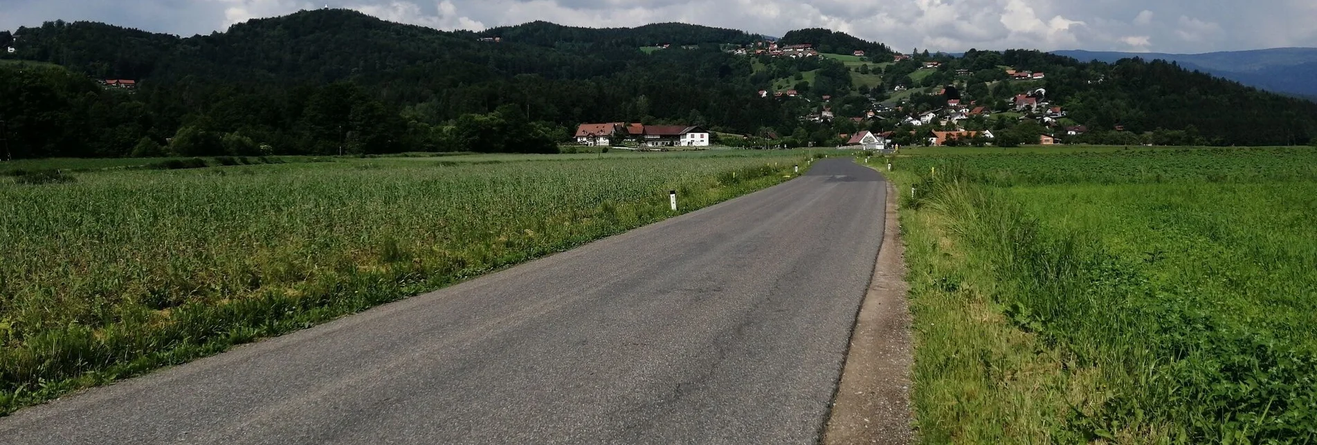 Jogging Schilcherlauf - Touren-Impression #1 | © Schilcherland Steiermark