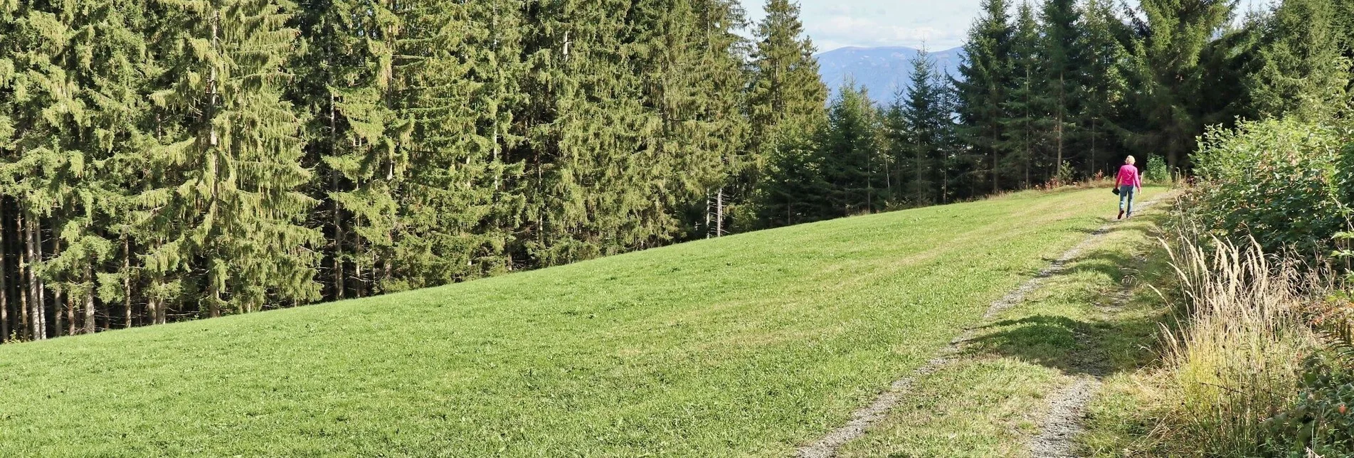 Wanderung 28e-Seckau - Dürnberg Rundwanderweg - Touren-Impression #1 | © Weges OG