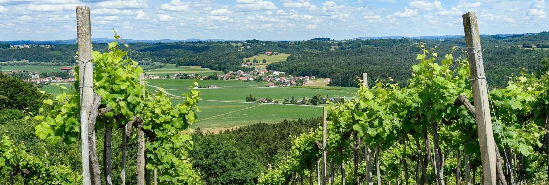 Hiking route Parking is available right next to the cafe-pub Bicycle. - Touren-Impression #1 | © Südsteiermark