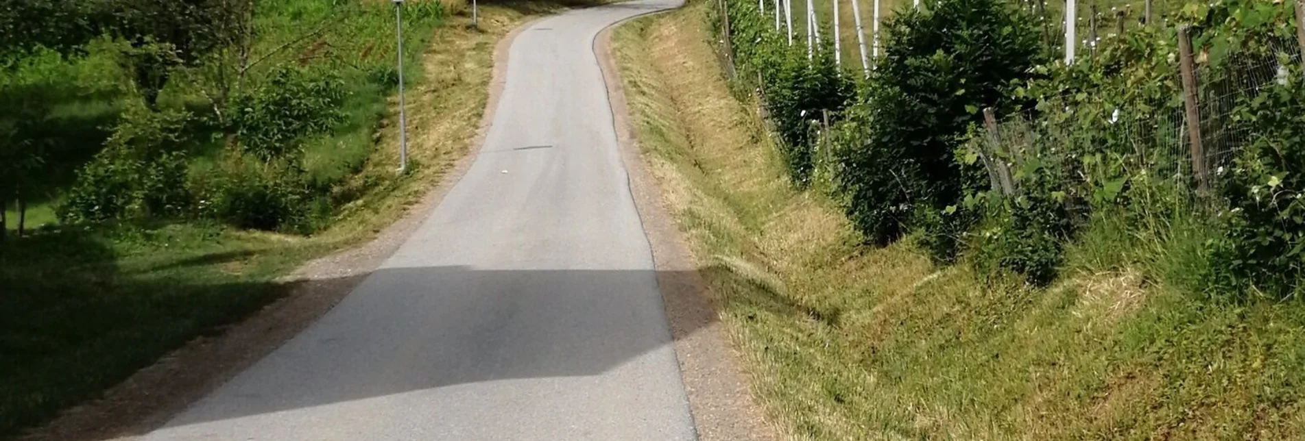 Jogging Abend Lauf - Touren-Impression #1 | © Schilcherland Steiermark