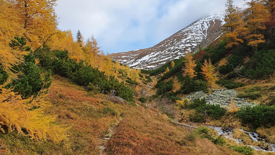 Hiking Route Maierangerkogel - Touren-Impression #2.6 | © Erlebnisregion Murtal