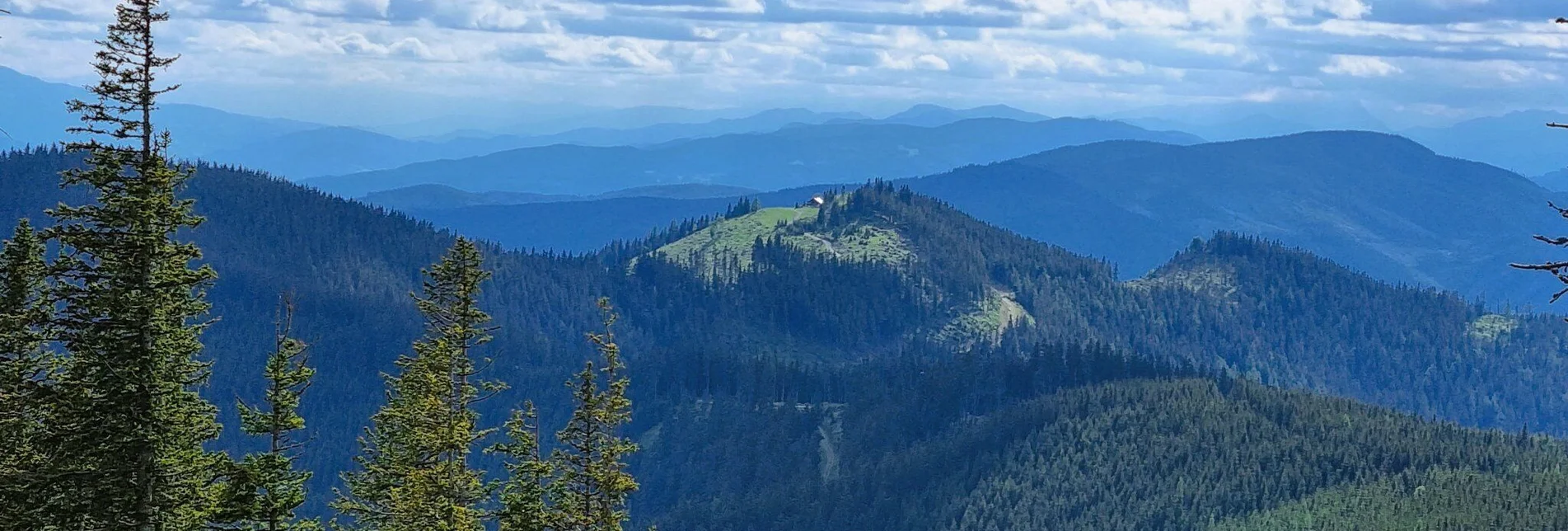 Hiking route Mit dem Bus zum Berg - Überschreitung der Hohen Scheibe - Touren-Impression #1 | © TV Hochsteiermark