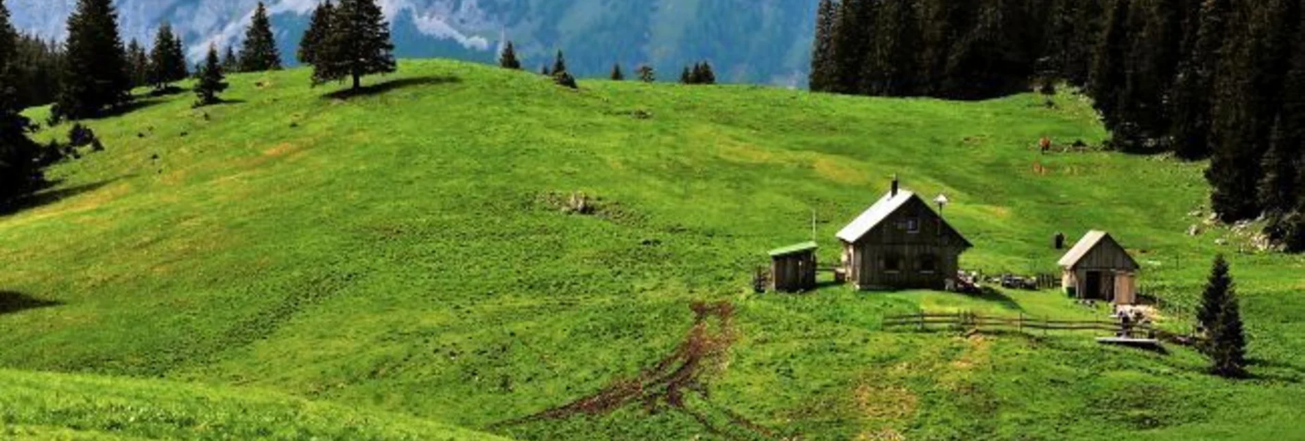 Wanderung Mit dem Bus zum Berg - Tonionüberschreitung - Touren-Impression #1 | © Naturpark Mürzer Oberland