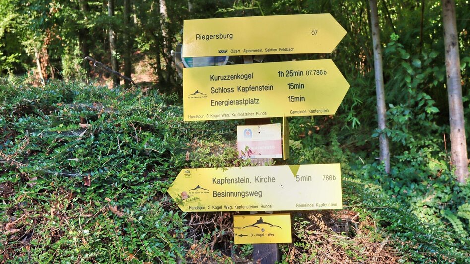 Hiking Route 3-Cone Way Variant (3-Kogel-Weg Variante) - Touren-Impression #2.2 | © Thermen- & Vulkanland