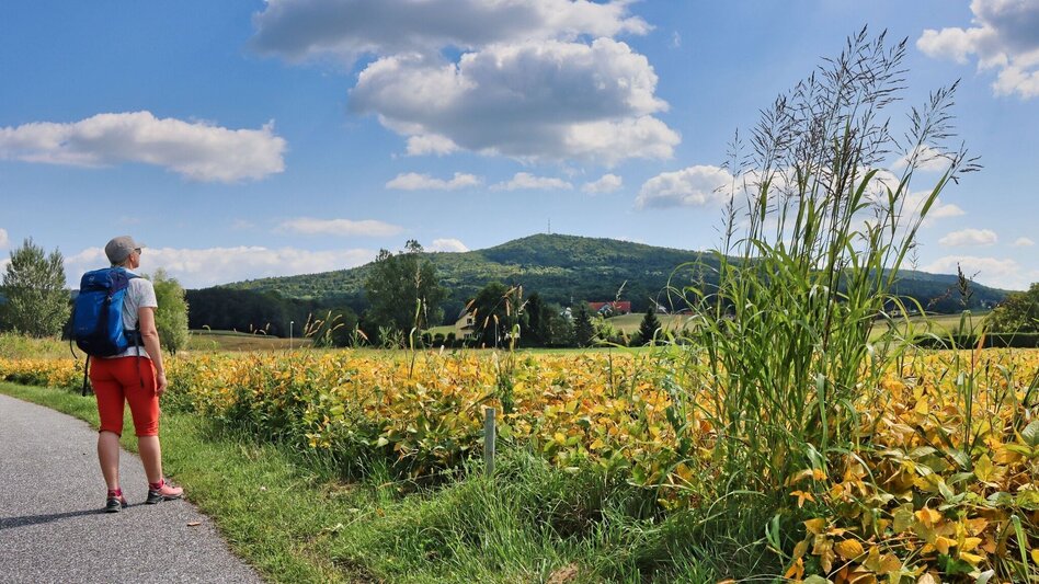 Hiking Route 3-Cone Way Variant (3-Kogel-Weg Variante) - Touren-Impression #2.8 | © Thermen- & Vulkanland