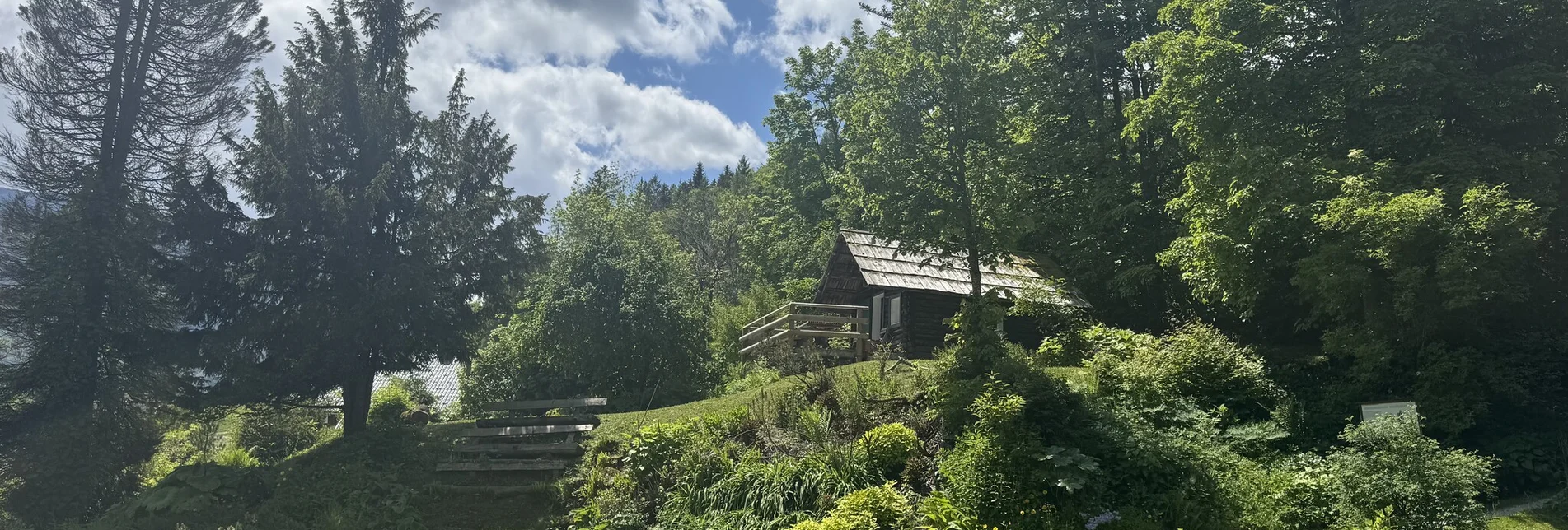 Wanderung Rundwanderung zum Alpengarten und über das Reiterer Plateau - Touren-Impression #1 | ©  TVB Ausseerland Salzkammergut_Theresa Schwaiger