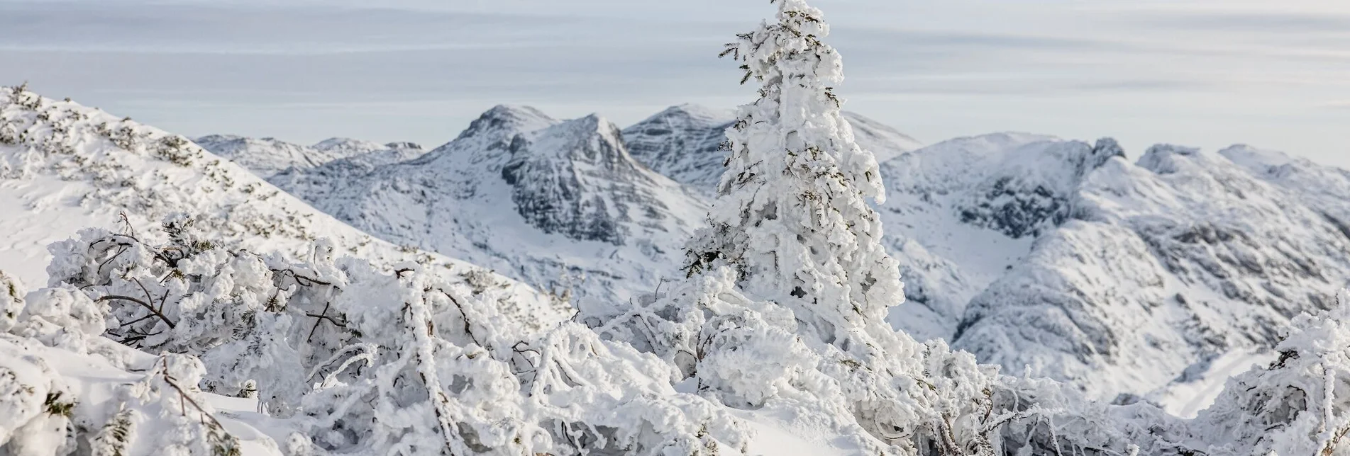 Snowshoe walking Snowshoe hike over the Tauplitzalm to the Rosskogel - Touren-Impression #1 | © TVB Ausseerland Salzkammergut