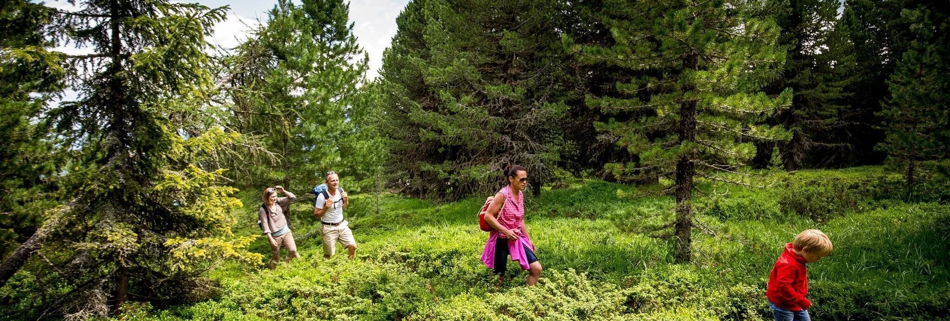 Wanderung Kreischberg - Touren-Impression #1 | © Tourismusverband Murau