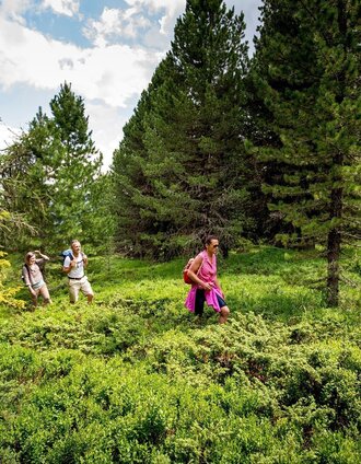 Wandern durch die grünen Wälder am Kreischberg | Tom Lamm | © Tourismusverband Murau