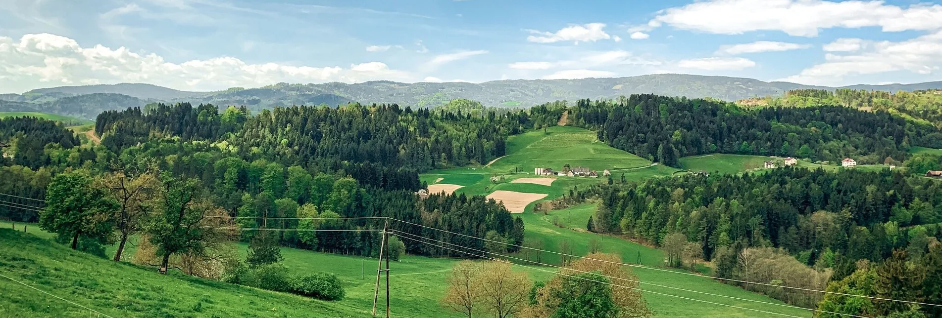 Mountainbike Aussichtsrunde – Hofladentour A - Touren-Impression #1 | © Südsteiermark