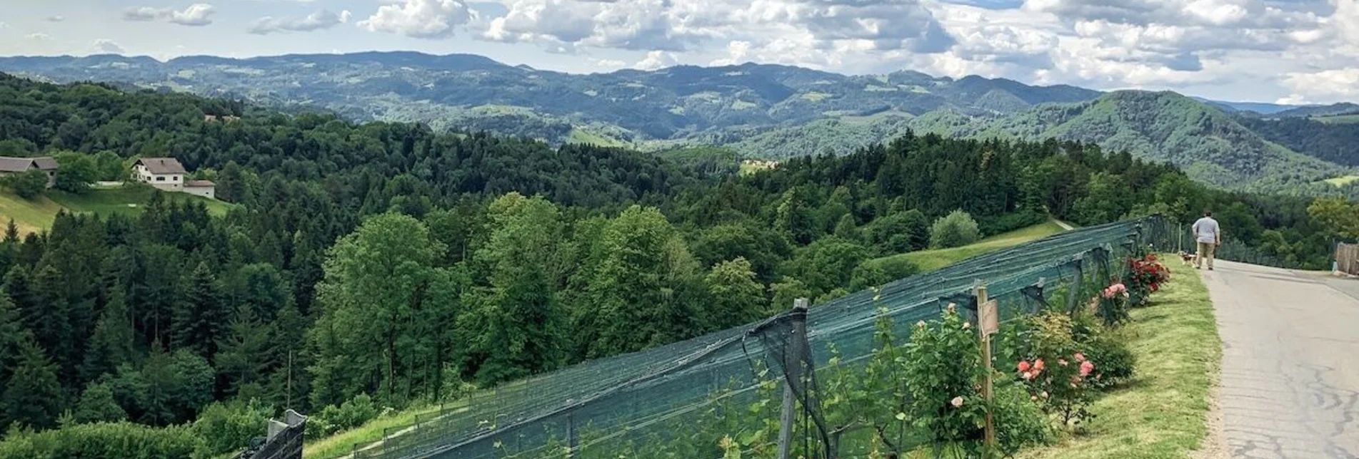 Mountain Biking Schilcherland - Rebenland - a change of perspective - Touren-Impression #1 | © Südsteiermark