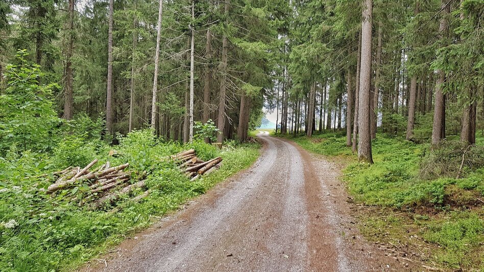 Hiking Route Katzenburg Tour - Touren-Impression #2.3 | © Gerhard Pilz