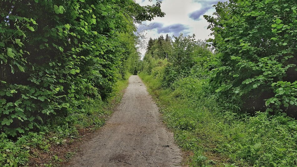 Hiking Route Katzenburg Tour - Touren-Impression #2.5 | © Gerhard Pilz