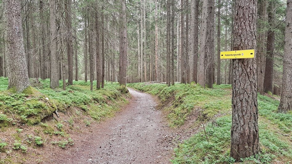 Hiking Route Katzenburg Tour - Touren-Impression #2.6 | © Gerhard Pilz