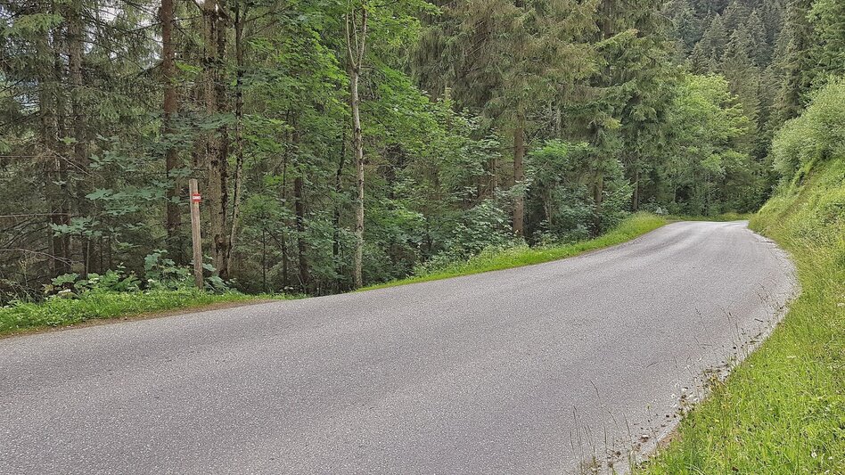 Hiking Route Katzenburg Tour - Touren-Impression #2.8 | © Gerhard Pilz