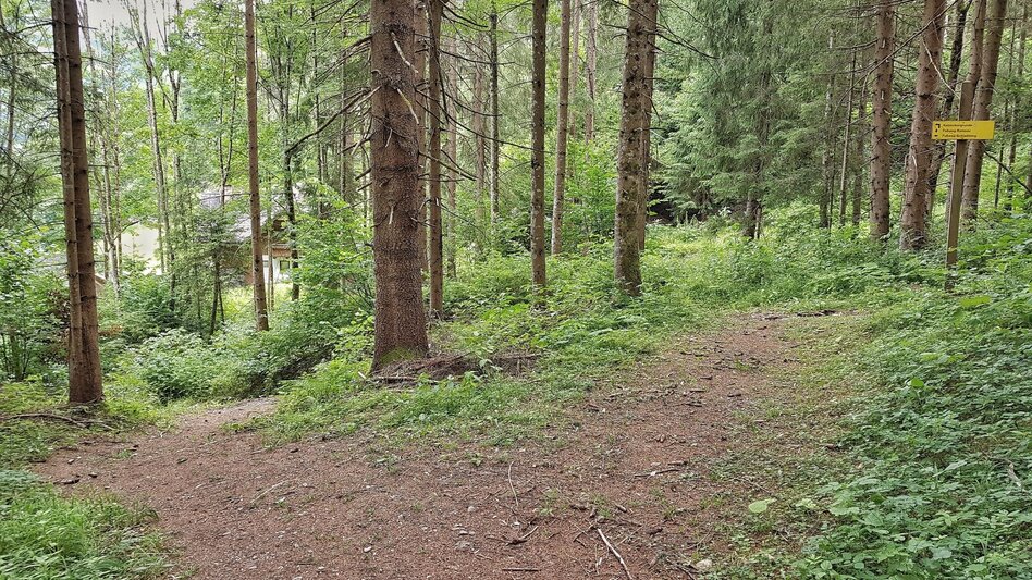 Hiking Route Katzenburg Tour - Touren-Impression #2.9 | © Gerhard Pilz