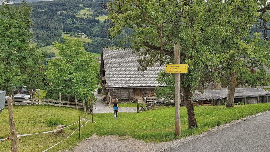 Hiking Route Katzenburg Tour - Touren-Impression #2.10 | © Gerhard Pilz