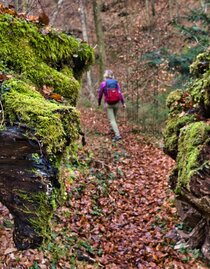 Attraktiver Weg durch den Wald | © TVB/Südsteiermark/WEGES OG Sarcletti / Zienitzer | WEGES OG Sarcletti / Zienitzer | © TVB/Südsteiermark/WEGES OG Sarcletti / Zienitzer