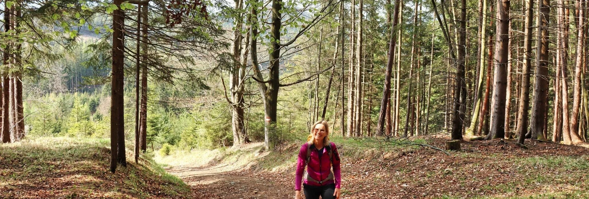 Wanderung Himberger Eck - Touren-Impression #1 | © Tourismusverband ERZBERG LEOBEN