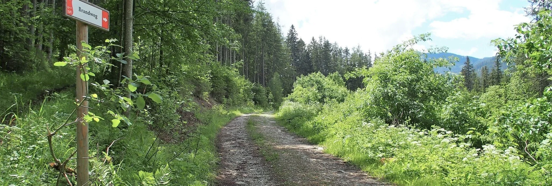 Hiking route Brandweg - Touren-Impression #1 | © FVV  Tragöß - St. Katharein