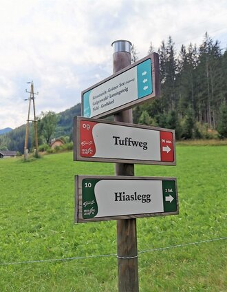 Richtung Hiaslegg | Michaela Muster | © FVV  Tragöß - St. Katharein